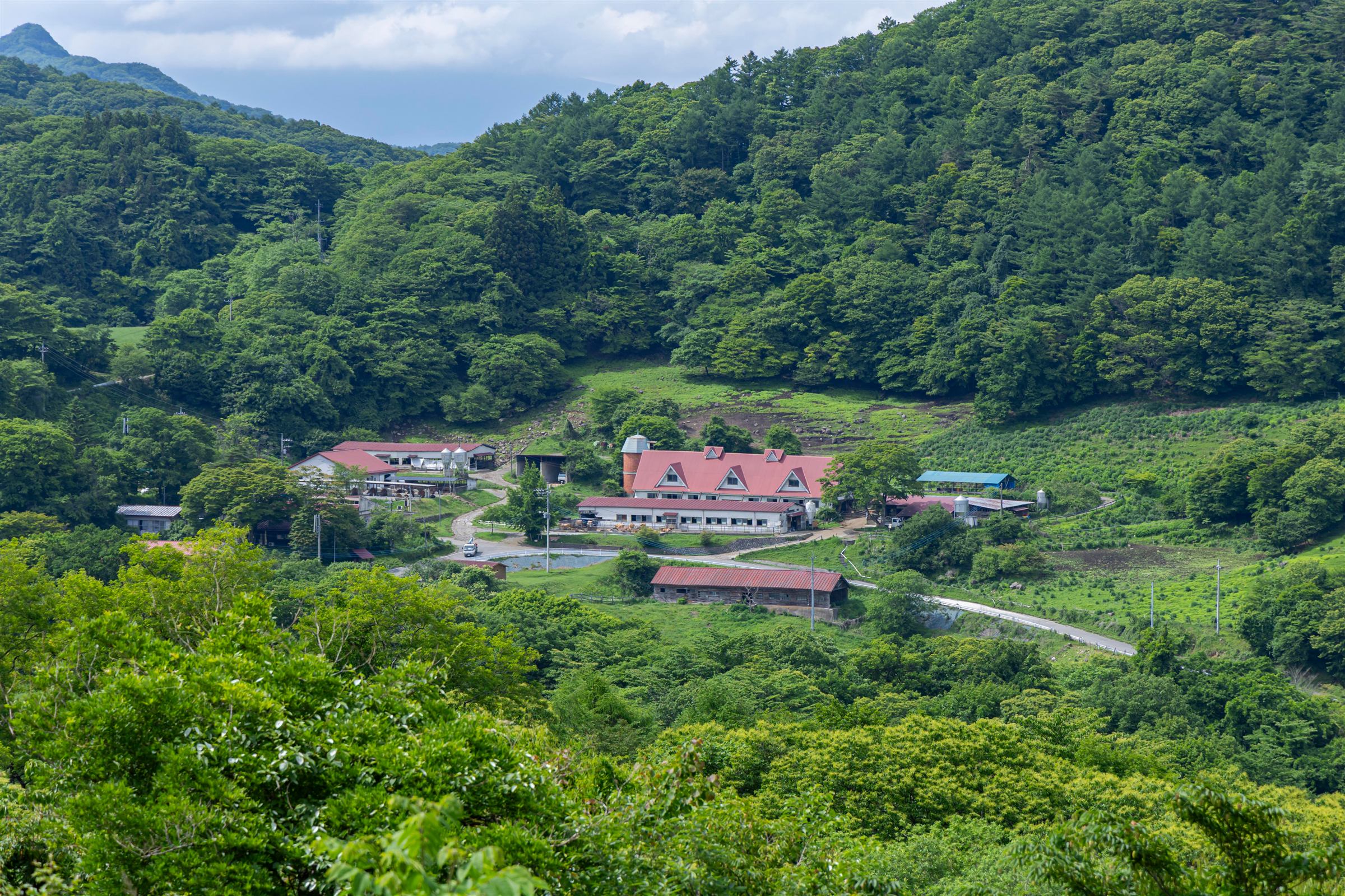 神津牧場の風景